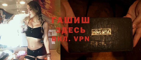 хмурый Алзамай