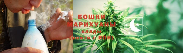 ГАЛЛЮЦИНОГЕННЫЕ ГРИБЫ Алексин
