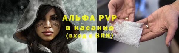 хмурый Алзамай
