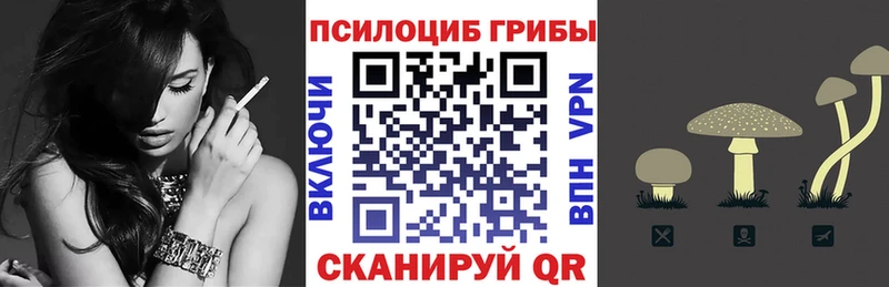 Псилоцибиновые грибы мухоморы  наркотики  Ахтырский 